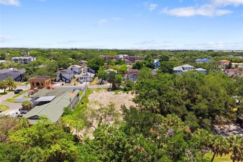 Land in Tampa, Florida № 2386139 - photo 23