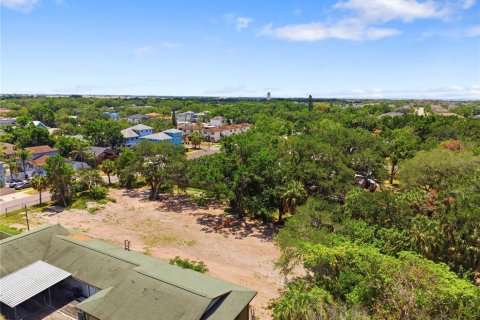 Land in Tampa, Florida № 2386139 - photo 24