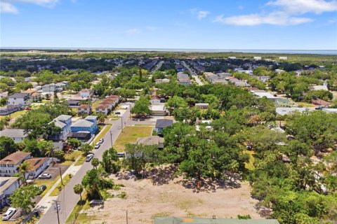 Land in Tampa, Florida № 2386139 - photo 9