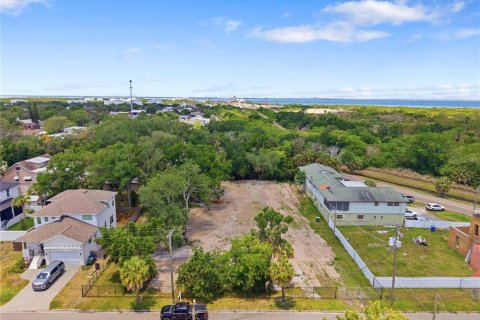Land in Tampa, Florida № 2386139 - photo 19