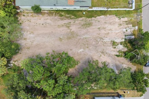 Land in Tampa, Florida № 2386139 - photo 26