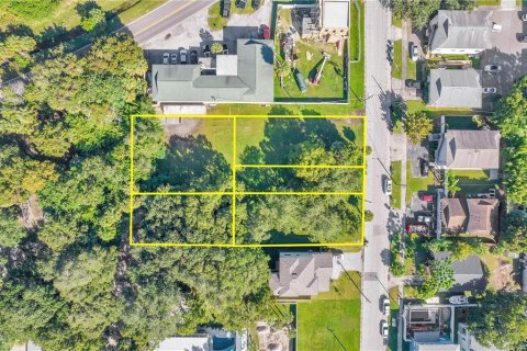 Land in Tampa, Florida № 2386139 - photo 8