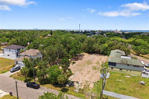 Land in Tampa, Florida № 2386139 - photo 11