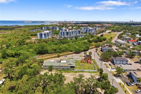 Land in Tampa, Florida № 2386139 - photo 14