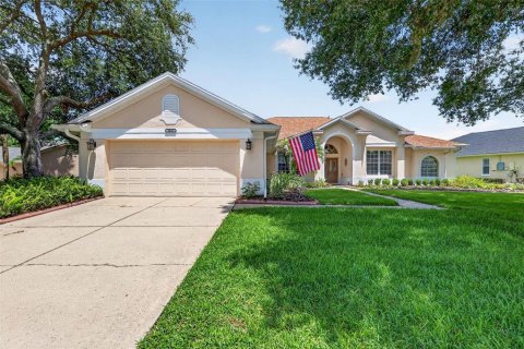 Villa ou maison à Mount Dora, Floride 3 chambres, 257.99 m2 № 2152324
