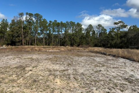 Land in Haines City, Florida № 2235331 - photo 2