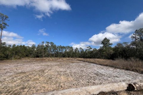 Land in Haines City, Florida № 2235331