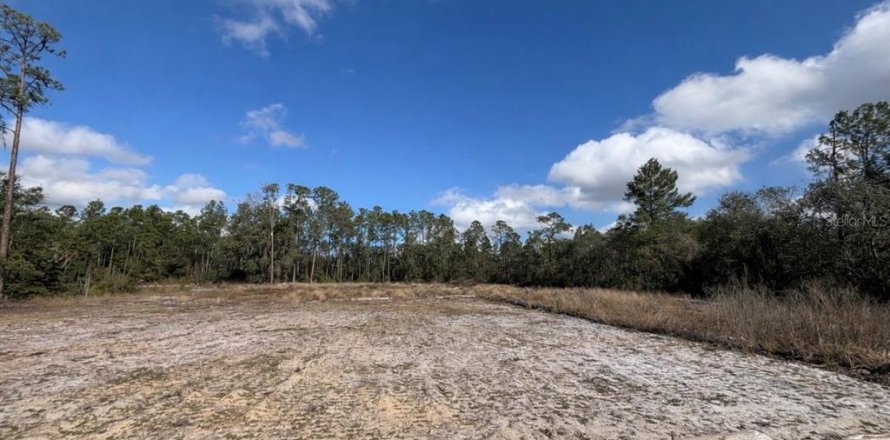 Land in Haines City, Florida № 2235331