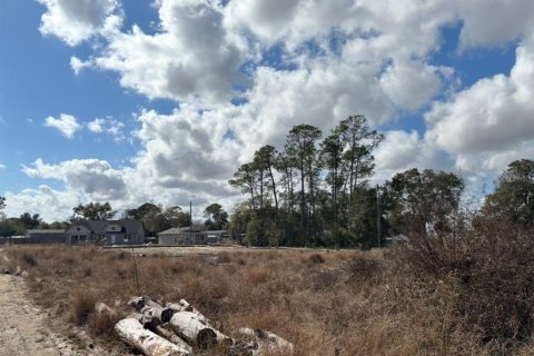 Land in Haines City, Florida № 2235331 - photo 3