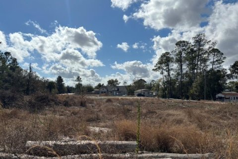 Land in Haines City, Florida № 2235331 - photo 4