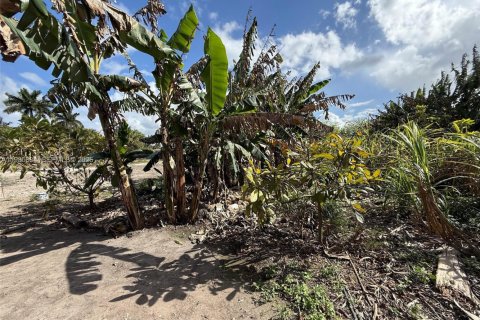 Immobilier commercial à Homestead, Floride № 2052123