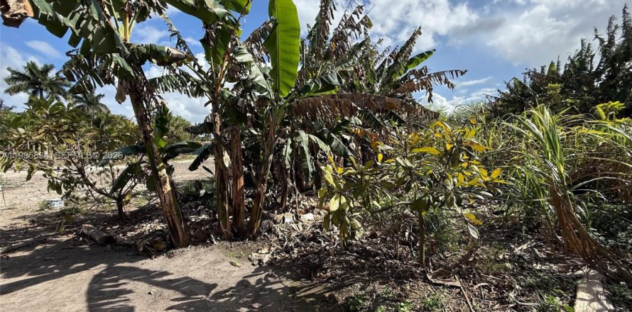 Immobilier commercial à Homestead, Floride № 2052123