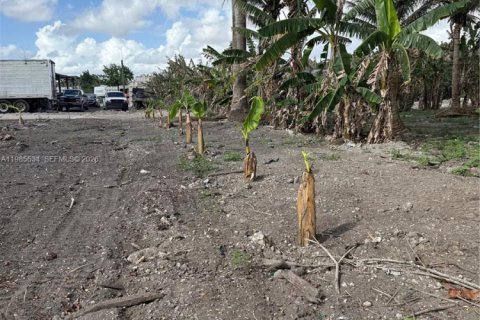 Immobilier commercial à vendre à Homestead, Floride № 2052123 - photo 7