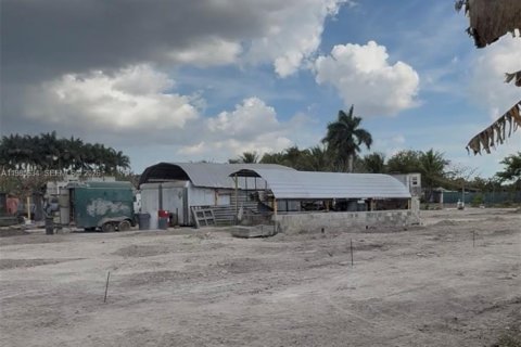 Immobilier commercial à vendre à Homestead, Floride № 2052123 - photo 4