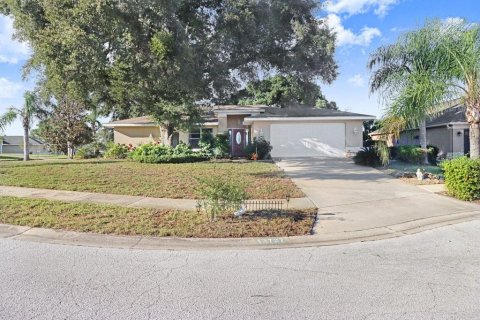 Villa ou maison à vendre à Hudson, Floride: 3 chambres, 226.87 m2 № 2433286 - photo 3