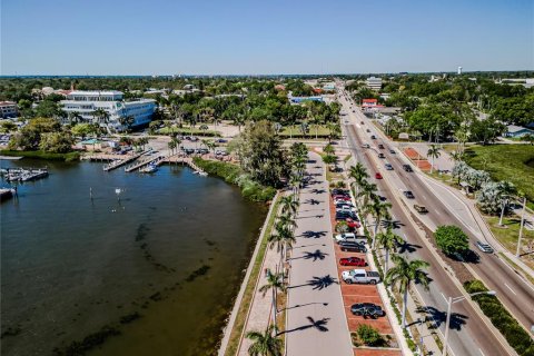 Land in Palmetto, Florida № 2166025 - photo 8