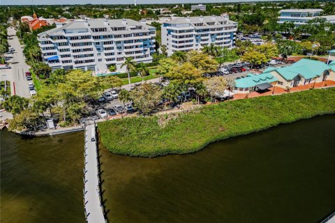 Land in Palmetto, Florida № 2166025 - photo 10