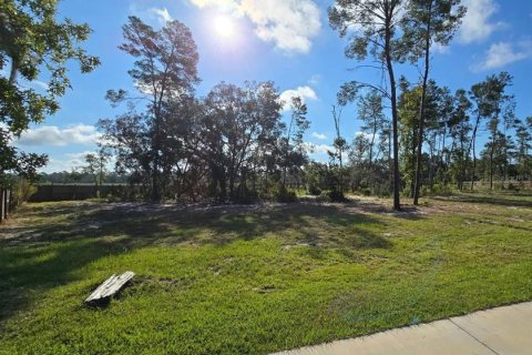 House in Ocklawaha, Florida 4 bedrooms, 172.52 sq.m. № 2113019 - photo 15