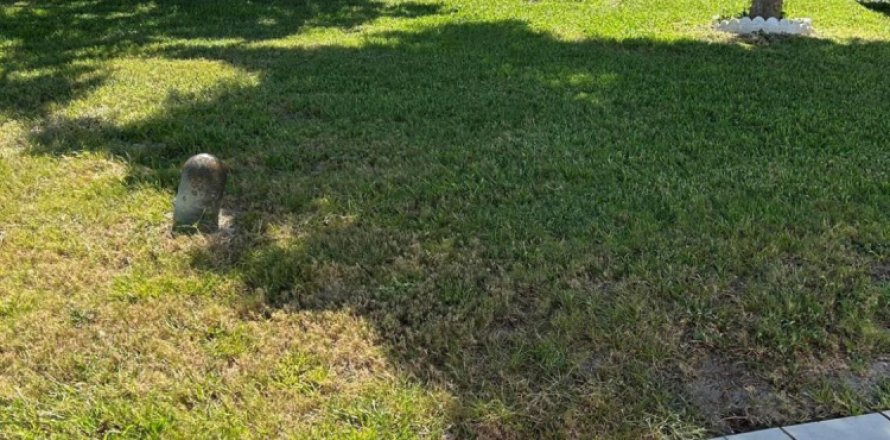 House in Boynton Beach, Florida 2 bedrooms, 134.52 sq.m. № 1223648