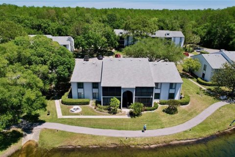 Condo in Tarpon Springs, Florida, 2 bedrooms  № 1578594 - photo 2