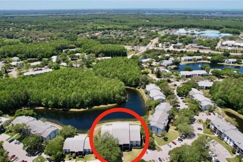 Condo in Tarpon Springs, Florida, 2 bedrooms  № 1578594 - photo 25