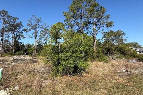 Terreno en venta en Kissimmee, Florida № 1603101 - foto 6