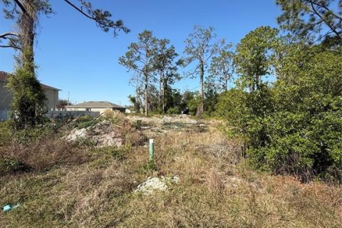 Terreno en venta en Kissimmee, Florida № 1603101 - foto 4