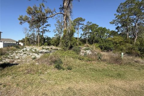 Terreno en venta en Kissimmee, Florida № 1603101 - foto 1