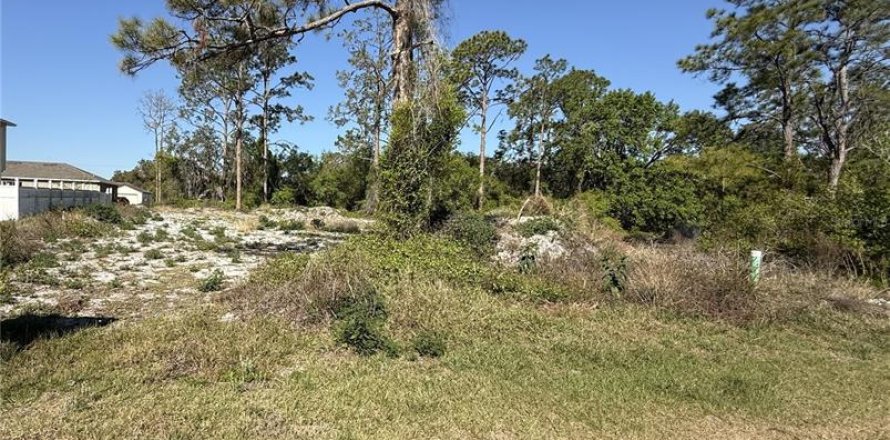 Terreno en Kissimmee, Florida № 1603101