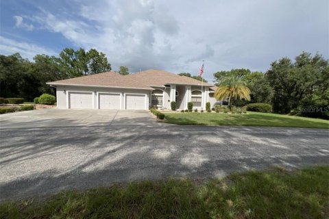 Villa ou maison à Homosassa, Floride 4 chambres № 2405592