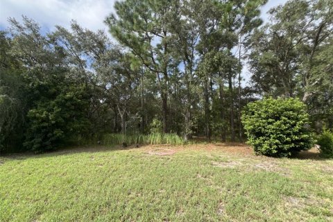 Villa ou maison à vendre à Homosassa, Floride: 4 chambres № 2405592 - photo 7
