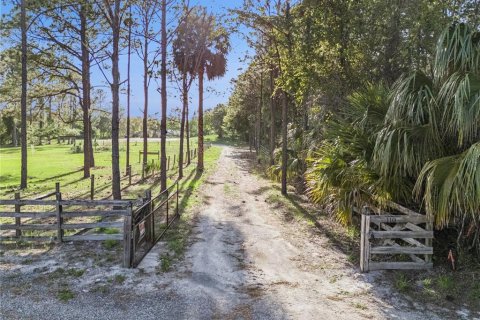 Land in Deltona, Florida № 2115566