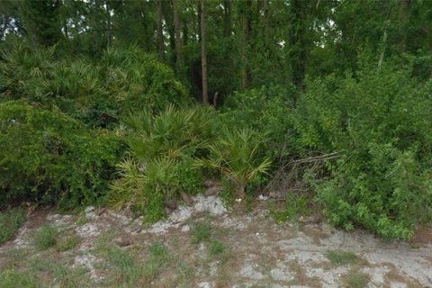 Land in Lake Placid, Florida № 2162758