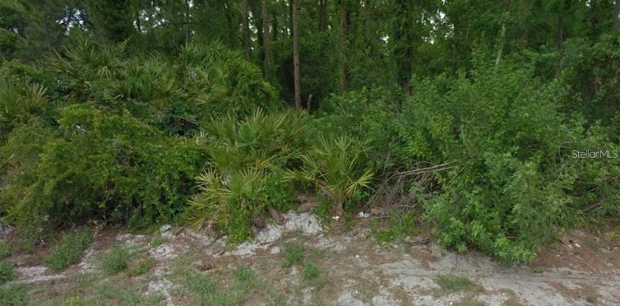 Land in Lake Placid, Florida № 2162758