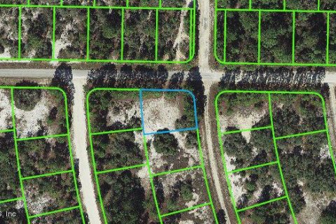 Land in Lake Placid, Florida № 2160670