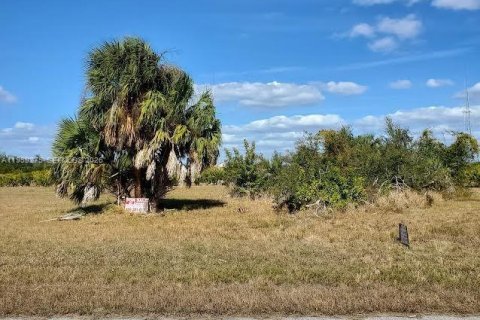 Terrain à Port Charlotte, Floride № 2158251