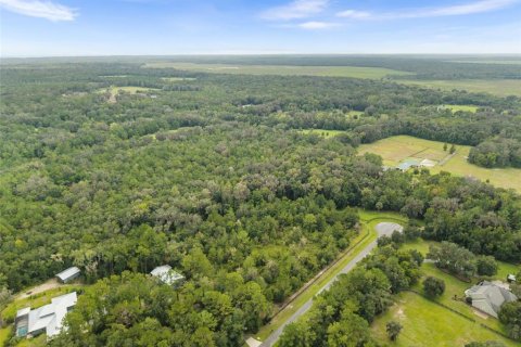 Land in Micanopy, Florida № 2393864 - photo 8