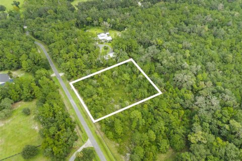 Land in Micanopy, Florida № 2393864