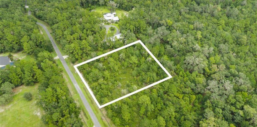 Land in Micanopy, Florida № 2393864