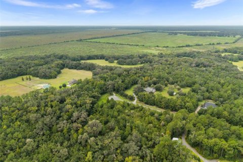 Land in Micanopy, Florida № 2393864 - photo 7