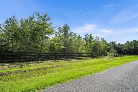 Land in Micanopy, Florida № 2393864 - photo 9