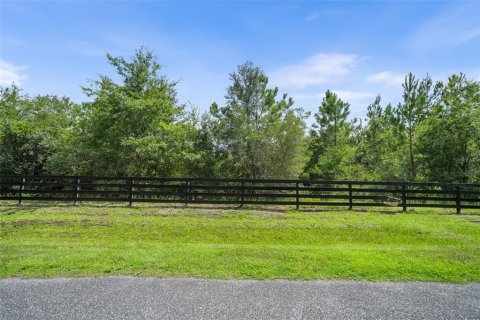 Land in Micanopy, Florida № 2393864 - photo 11