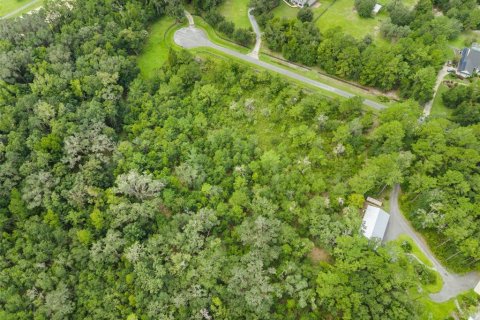 Land in Micanopy, Florida № 2393864 - photo 5
