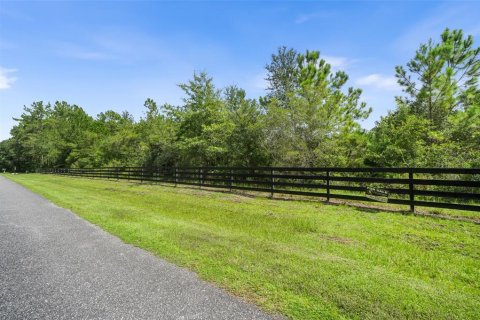Land in Micanopy, Florida № 2393864 - photo 10
