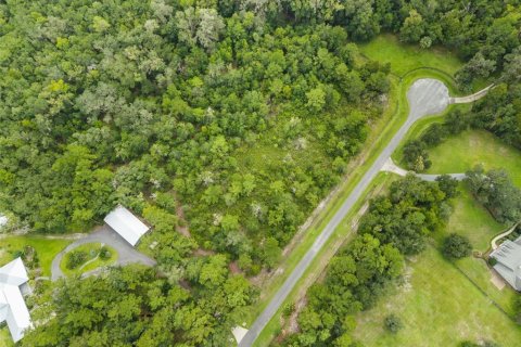 Land in Micanopy, Florida № 2393864 - photo 4