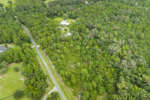 Land in Micanopy, Florida № 2393864 - photo 3