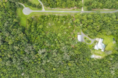Land in Micanopy, Florida № 2393864 - photo 6