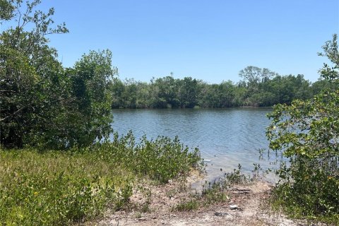Terreno en venta en Gibsonton, Florida № 1824539 - foto 10