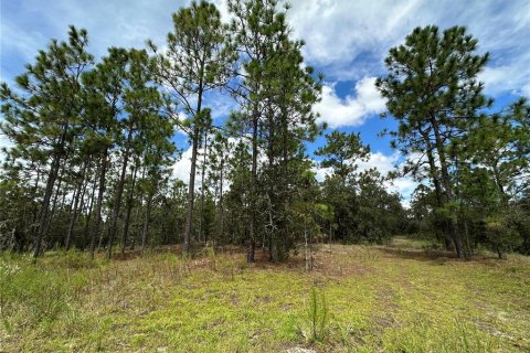 Terrain à Dunnellon, Floride № 2228545