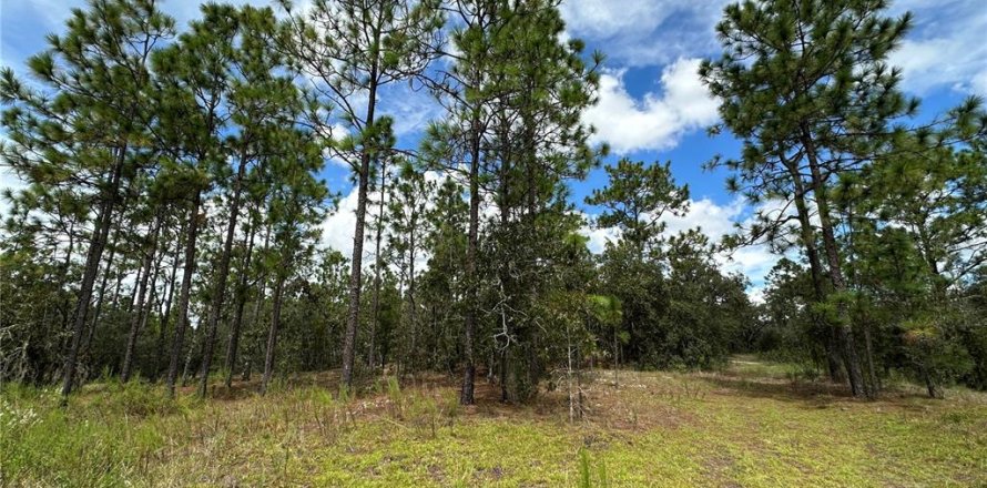 Terrain à Dunnellon, Floride № 2228545